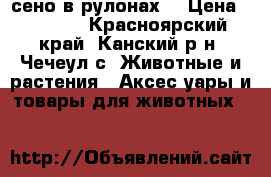 сено в рулонах. › Цена ­ 1 200 - Красноярский край, Канский р-н, Чечеул с. Животные и растения » Аксесcуары и товары для животных   